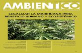 LEGALIZAR LA MARIHUANA PARA BENEFICIO HUMANO Y … · Daniel Pacheco Legalizar la marihuana para humanizar: una salida de la cultura de muerte ... dajes de temas que trascienden la
