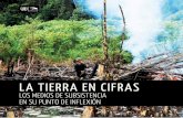 LA TIERRA EN CIFRAS - unccd.int · • El 40% de los conflictos intraestatales en los últimos 60 años han estado ligados a los recursos naturales1. • Más del 70% de los ... mundiales