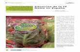Situación de la IV Gama en España - horticom.com · do los principales esfuerzos, cam-biándose muchos factores en la producción como las variedades, ... taza rizada Mizuna Tat