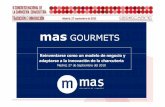 mas GOURMETS - Cedecarne · Reinventarse como un modelo de negocio y adaptarse a la innovación de la charcuteria Madrid, 27 de Septiembre del 2010. ... Plan de Comunicación