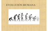 2.- Evolución humana 2014 - bsmaravillas.files.wordpress.com · FAMILIAS DE LOS ANTROPOIDES Los antropoideos (parecidos al hombre) comprenden varias familias. Estudiaremos solamente
