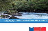Catálogo de Proveedores Mini Hidro Hidroelctricas Manuales... · Tornillo Arquimides 10 kW - 500 kW ... el área hidro, con el tornillo de Arquímedes capaz de operar en canales