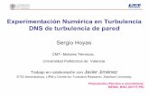 Experimentación Numérica en Turbulencia DNS de turbulencia ...webserver.dmt.upm.es/.../segunda-edicion/conferencias/jornadas2009.pdf · Trabajo en colaboración con Javier Jiménez