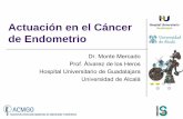Actuación en el Cáncer de Endometrio - acmgo.com · Actuación en el Cáncer de Endometrio Dr. Monte Mercado Prof. Álvarez de los Heros. Hospital Universitario de Guadalajara.
