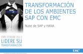 TRANSFORMACIÓN DE LOS AMBIENTES SAP CON EMC · Mejores prácticas de bases de datos/TI ... Optimización del almacenamiento y la infraestructura para cumplir con los requisitos ...