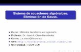 Sistema de ecuaciones algebraicas. Eliminación de Gauss.metodosnumericoscem.weebly.com/uploads/2/5/9/7/25971049/mn_171... · Gauss Simple Gauss con Pivoteo Parcial. ... Introduccion´