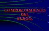 COMPORTAMIENTO DEL FUEGO - 3tecprevriesgos2010 | Just ... · COMPORTAMIENTO DEL FUEGO •COMBUSTION: reacción química •CALOR: energía que incrementa la temperatura