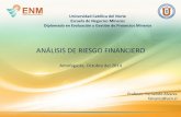 ANÁLISIS DE RIESGO FINANCIERO - enm.ucn.cl · ANÁLISIS DE RIESGO FINANCIERO Antofagasta, Octubre del 2014 ... Análisis de Sensibilidad • Busca cuantificar y visualizar la sensibilidad