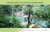 Introducción a los servicios ambientaleselti.fesprojects.net/2015_AguaSalud/Charla1.pdf · función y el valor de los componentes del bienestar. ... Repaso de los servicios ambientales
