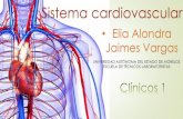 Elia Alondra Jaimes Vargas · Cuestionario . El sistema cardiovascular tiene la función de conducir la sangre a todos los tejidos del organismo, para que absolutamente todas y cada