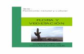 FLORA Y VEGETACIÓN - Centro de Estudios Agrarios y ...ceachile.cl/humedales/licancabur/cartillas/Cartilla Flora y... · La flora de los alrededores del volc án Licancabur est ...