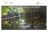 Yucatán 2013 - ccpy.gob.mx · Presentación • Gobierno de la República 9 • Secretaría de Medio Ambiente y Recursos Naturales 10 • Comisión Nacional Forestal 11 • Instituto