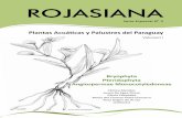 Plantas Acuáticas y Palustres del Paraguayawsassets.panda.org/downloads/libro_acuaticas_web_1.pdf · dar a conocer la amplia diversidad de plantas acuáticas, anfibias y palustres