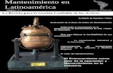 Mantenimiento en Latinoamérica Gestión Integmantenimientoenlatinoamerica.com/pdf/ML Volumen 2 Nº 6.pdf · Mejorando el Desempeño en la Organización de Mantenimiento de una Planta
