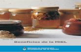 Ficha 19: Beneﬁcios de la MIEL - Alimentos Argentinos · Beneficios de la miel ... se relaciona con el contenido de minerales, polen y compuestos volátiles que son responsables
