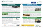 Un obstáculo menos para los peces en el río Miera Un ...fnyh.org/wp-content/uploads/2017/11/04-hoja-informativa-miera-a3.pdf · estado de conservación de los hábitats y las especies