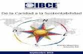 De la Caridad a la Sustentabilidad - ibce.org.boibce.org.bo/images/publicaciones/De-la-Caridad-a-la... · La mayoría de los países y en especial los de Latinoamérica ... La Teoría