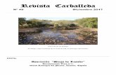 Revista Carballeda fileRevista Carballeda Nº 49 Diciembre 2017 EFECTOS DE LA SEQUIA Río Negro, bajo el puente de la nacional 525, en Rionegro del ...