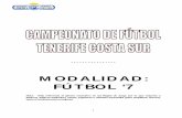 MODALIDAD: FÚTBOL ‘7 - Competiciones TCS Fútbol · 3 REGLA I - EL TERRENO DE JUEGO El terreno de juego y sus características se determinan con arreglo al plano de la página