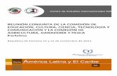 Centro de Estudios Internacionales Gilbcentrogilbertobosques.senado.gob.mx/docs/seriealatina61.pdf · EMBAJADA DE MÉXICO EN PANAMÁ Embajadora ALEJANDRA MARÍA GABRIELA BOLOGNA ZUBIKARAI
