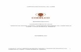 CORPORACIÓN NACIONAL DEL COBRE - Inicioprontus.codelco.cl/prontus_codelco/site/artic/20171110/asocfile/... · continuidad operacional de las áreas de producción, conectividad y