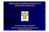 PROBLEMAS AMBIENTALES EN LA AMAZONIA PERUANA · PROBLEMAS AMBIENTALES EN LA AMAZONIA PERUANA ... LOS GRANDES RETOS • Mantener el ciclo de vaciantes y crecientes • Evitar la contaminación