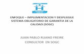 JUAN PABLO RUANO FREIRE CONSULTOR EN SOGC³n SOGC Inducción.1.pdfMedicamentos, Dispositivos médicos y su gestión. 5. ... almacenamiento distribución y entrega condicionen directamente