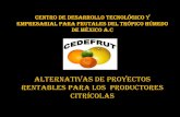 CENTRO DE DESARROLLO TECNOLÓGICO Y EMPRESARIAL PARA FRUTALES DEL TRÓPICO HÚMEDO DE ...¡gina_CEDEFRUT/3ªsemana de la... · 2015-09-11 · obtiene de la industria procesadora de