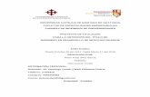 UNIVERSIDAD CATÓLICA DE SANTIAGO DE GUAYAQUIL FACULTAD DE ...repositorio.ucsg.edu.ec/bitstream/3317/3526/1/T-UCSG-PRE-ESP-IE-67.pdf · Los calzados ortopédicos por largo tiempo