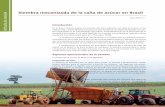 Siembra mecanizada de la caña de azúcar en Brasil Artículo ...tecnicana.org/pdf/2009/tec_v13_no22_2009_p33-38.pdf · Artículo de revisión Siembra mecanizada de la caña de azúcar