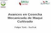 Avances en Cosecha Mecanizada de Maqui Cultivadoorganizamoseventosagricolas.cl/wp-content/uploads/2017/10/Felipe... · conducción y seleccionar un sistema de manejo agronómico que