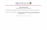 Guatemala - mdgfund.org - Environment - Mid... · PC FORTALECIMIENTO DE LA GOBERNABILIDAD AMBIENTAL EN GUATEMALA ... las ventajas comparativas de las agencias del SNU. El retraso