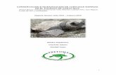 CONSERVACIÓN E INVESTIGACIÓN DE ... - turtle-trax.com · No existen en Costa Rica playas de anidación de tortuga carey, pero la especie se beneficia de los proyectos de conservación
