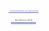Entrenamiento de Ejecutivos - Dattner Consulting · ENTRENAMIENTO DE EJECUTIVOS Entrenamiento vs. Asesoria Entrenamiento vs. Mentoring DISTINCIONES MENTORING ENTRENAMIENTO DE EJECUTIVOS