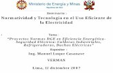 Seminario - Ministerio de Energía Minasintranet2.minem.gob.pe/web/archivos/dge/eventos/eficiente/10.pdf · caldera adjuntando el protocolo de ensayo realizado en la válvula de seguridad