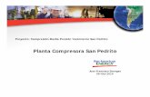 Planta Compresora San Pedrito - iapg.org.ar · Planificación de Actividades Informativa PTR DTR HAZOP DTR Final ADR Post invesment appraisal ... • Alto impacto en la gestión del