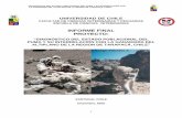 INFORME FINAL PROYECTO - sag.cl · “diagnÓstico del estado poblacional del puma y su interrelaciÓn con la ganaderÍa del altiplano de la region de tarapacÁ, chile” 1 universidad