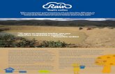 Región andina - rainfoundation.org · Agua para alimentación y agricultura Aumentar la disponibilidad de agua a través de la ... En muchos sectores de la región andina, la gente