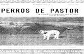 MADRID NUMERO 13-52 H JULIO 1952 PERROS DE PASTOR · 2006-10-25 · obreros duermen sobre la parva cara a las estrellas, es el perro quien les avisa la presencia de seres extraños
