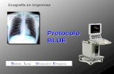 [PPT]Diapositiva 1 - Curso de ecografía en UCIecouci.orgfree.com/index_archivos/protocolo BLUE.pps · Web viewEcografía en Urgencias Protocolo BLUE Bedside Lung Ultrasound in Emergency