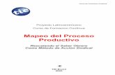 Mapeo del Proceso Productivo - tie-brasil.org20de%20la%20producci%F3n.pdf · clase trabajadora, que apunte hacia la intervención y, posteriormente, hacia um posible y necesario control