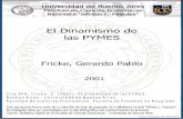 El dinamismo de las PYMES - bibliotecadigital.econ.uba.arbibliotecadigital.econ.uba.ar/download/tpos/1502-0307_FrickeGP.pdf · tJniversidaa de Buenos Aires FaG:ultafl de Ciencias
