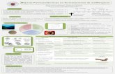 Mejoras Farmacotécnicas en formulaciones de antifúngicos147.96.70.122/Web/TFG/TFG/Poster/YAIZA CUERVA GARGOLES.pdf · El fracaso en los actuales tratamientos antifúngicos se debe