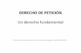 DERECHO DE PETICIÓN - campusvirtual.contraloria.gov.cocampusvirtual.contraloria.gov.co/.../DERECHO_PETICION_CGR.pdf · derecho de petición en una ley estatutaria, lo que implicó