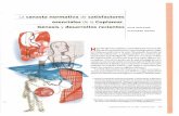 esenciales de la Coplamar. Génesis y desarrollos recientes ...revistas.bancomext.gob.mx/rce/magazines/20/13/RCE.pdf · La canasta normativa de satisfactores esenciales de la Coplamar.