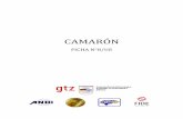 CAMARÓN - resultados1.comresultados1.com/caja-ue/images/stories/fichas/honduras/hn-camaron.pdf · Camarón No.8, Mercado: Unión Europea 4 Las importaciones de camarones y gambas