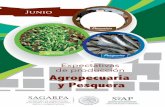 Expectativas de producción Agropecuaria y Pesquera - gob.mx · La expectativa de la producción nacional agropecuaria y pesquera para 2018 es de 231 millones de toneladas, 3.2% mayor