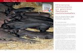factores nutricionales - axonveterinaria.netaxonveterinaria.net/.../47/cys_47_Eficiencia_alimentaria_porcino.pdf · nº 47 Eficiencia alimentaria en porcino: factores nutricionales