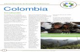 Informe Resumido de Resultados Preliminares Colombiaglobalforestcoalition.org/wp-content/uploads/2018/04/COLOMBIA... · Informe Resumido de Resultados Preliminares hace pocos años