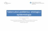 Tuberculosipediàtrica: etiologiai epidemiologia - Parc de Salut Mar · de material necrótico (centro caseoso), M tuberculosis, y tejido de granulación periférico con macrófagos